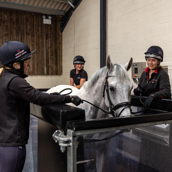 Aqua-Equine-Treadmill