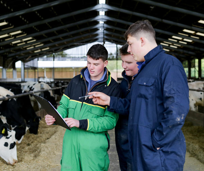 Level 2 Diploma Agriculture