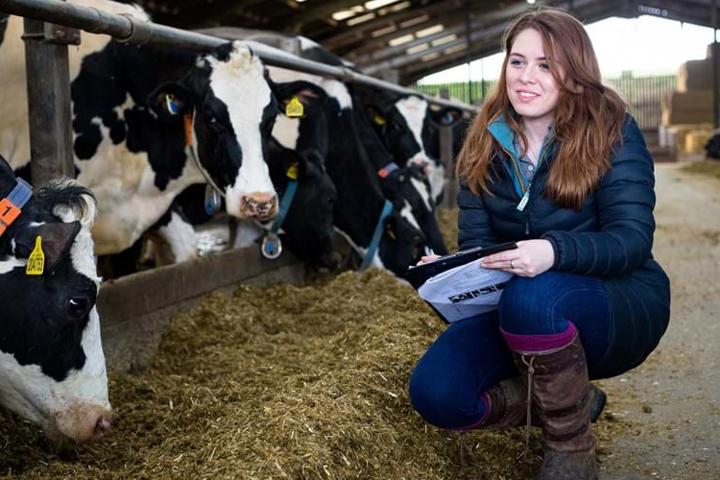 Ellen Gibson Research