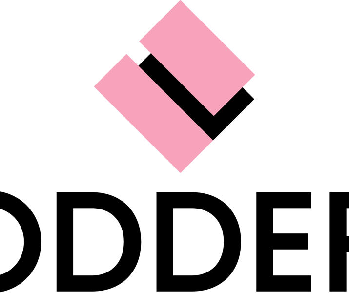 Lodders Logo (2)