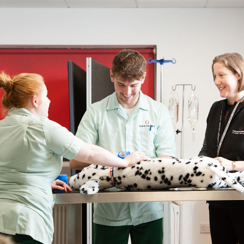 Veterinary Nursing