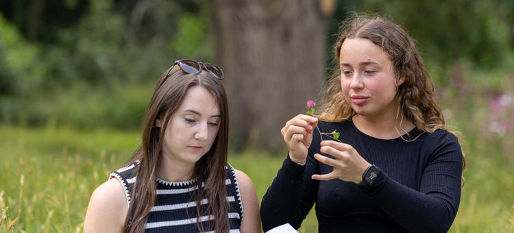 54608386889 D6cc9e2ef5 O