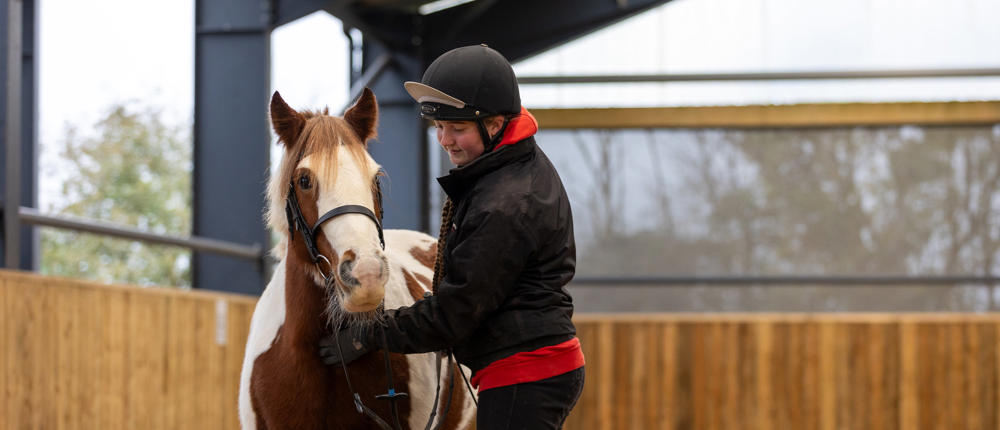 Brown And White Horse And Handler