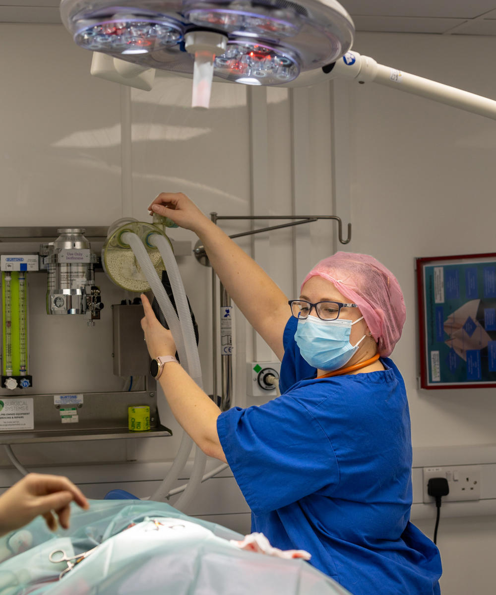 Hannah Smith Working In Veterinary Surgery Anesthetic