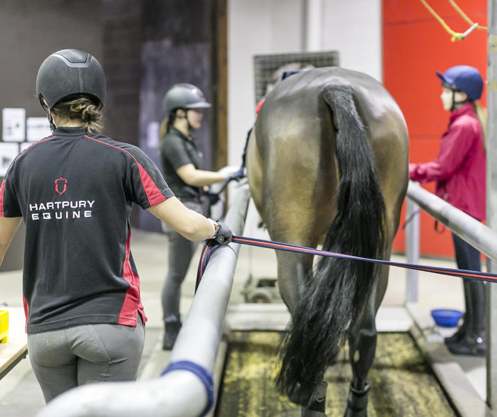 High Speed Treadmill