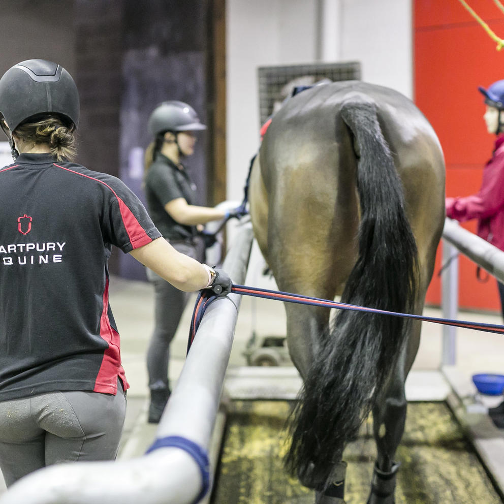 High Speed Treadmill