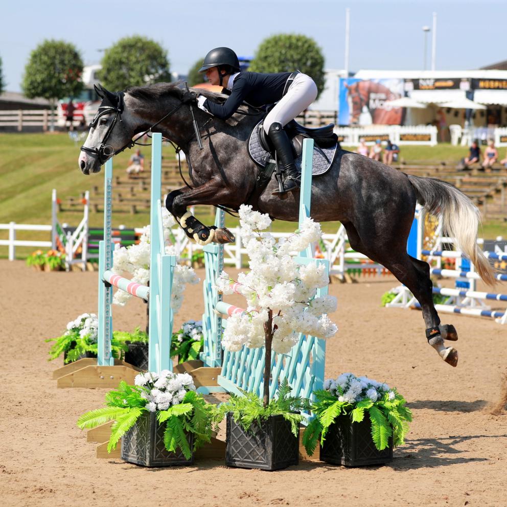 Faye Adams Jumping A Grey Horse