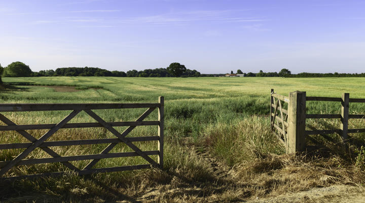 Gateway Istock