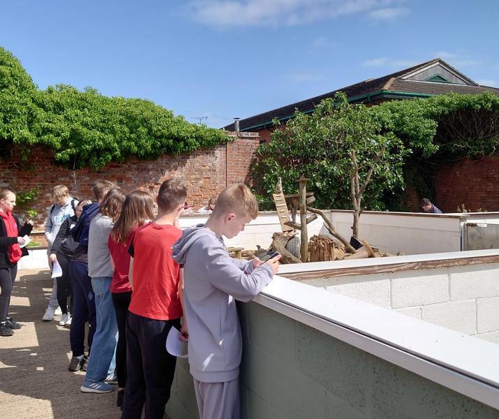 Animal-collection-students
