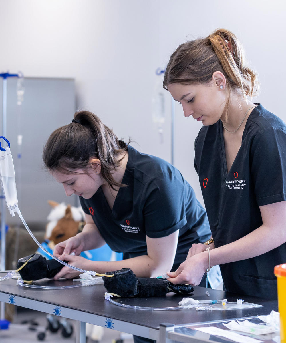 Veterinary Nursing Technical Skills Centre