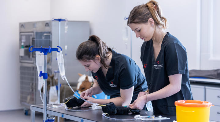 Veterinary Nursing Technical Skills Centre