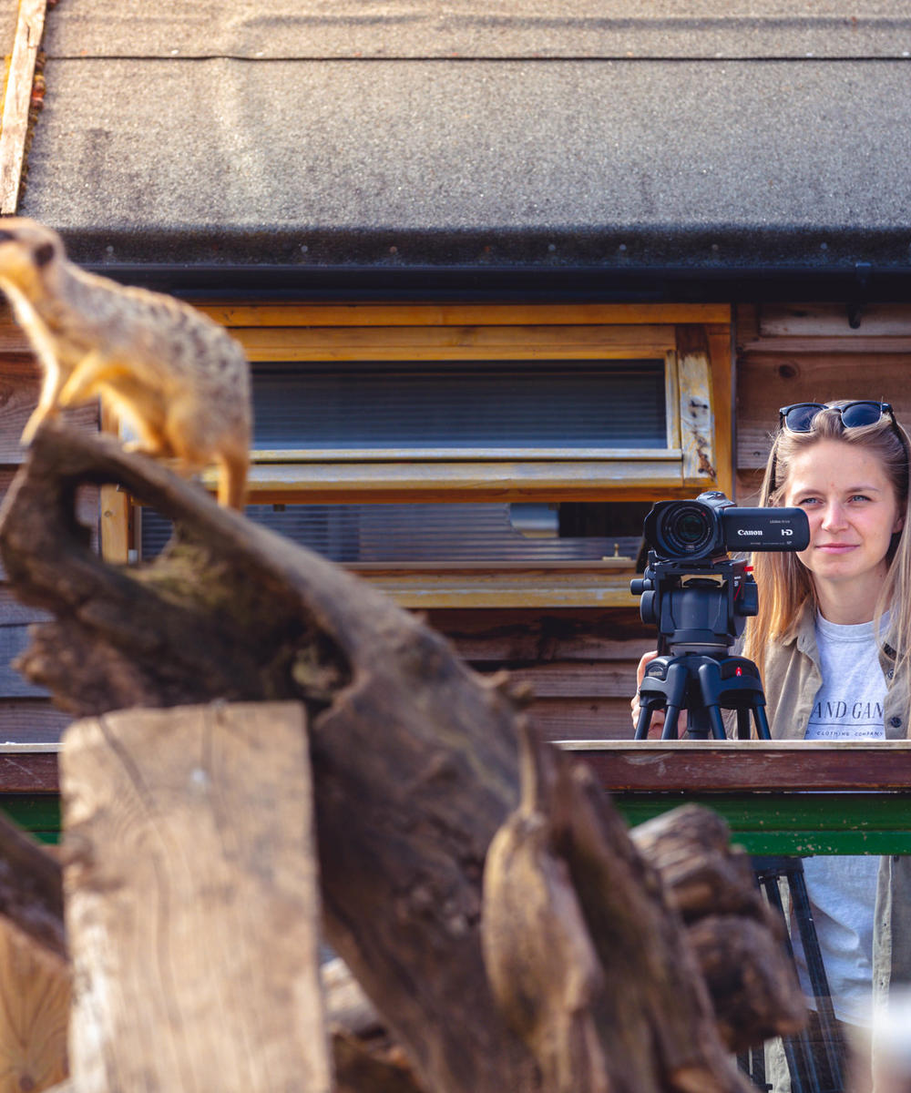 Image of a postgraduate research student photographing a meerkat