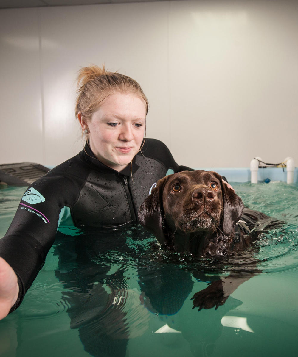 43064433094 Efbae2c22a K