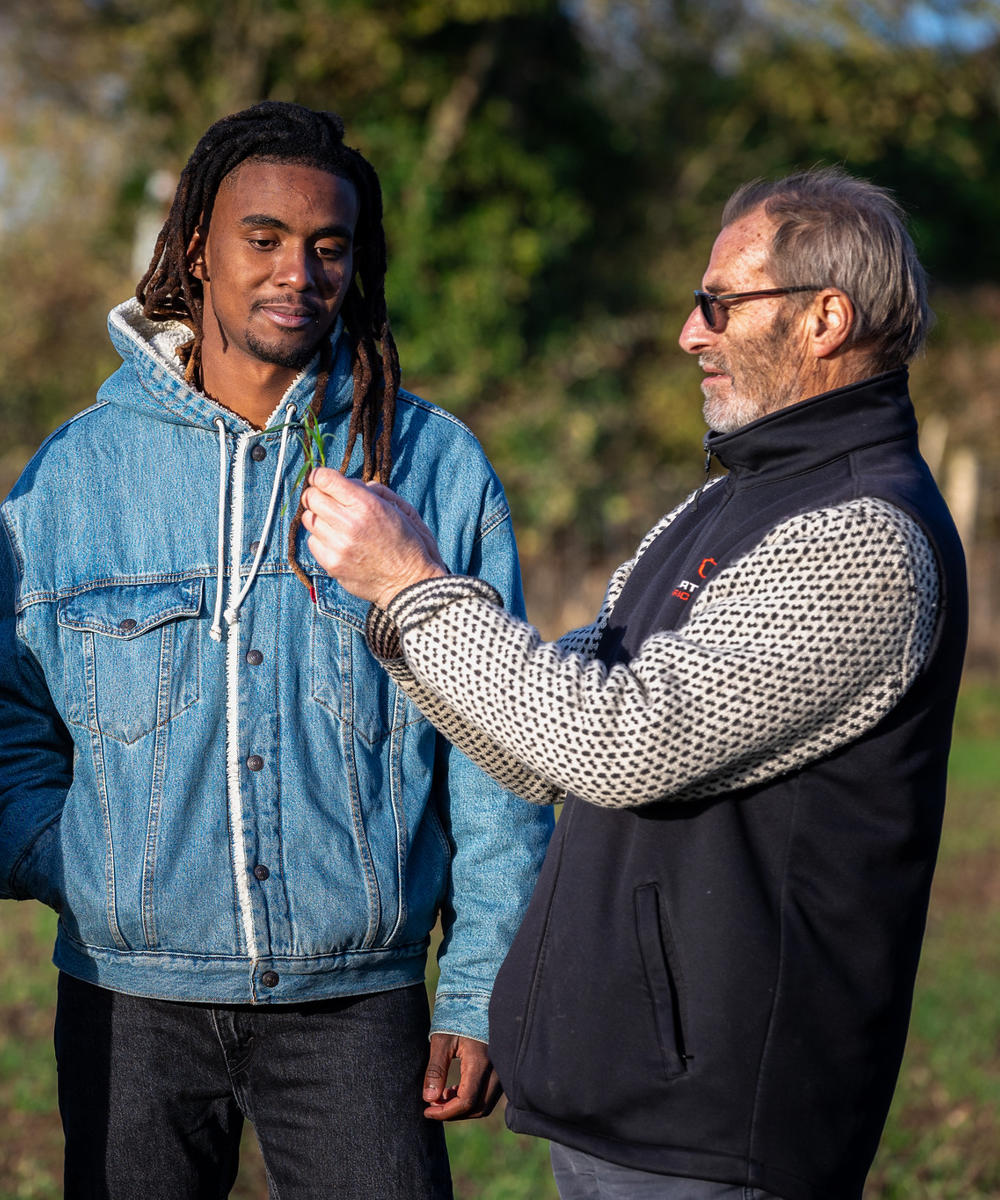 Male And Female Student And Lecturer Checking Crop Health