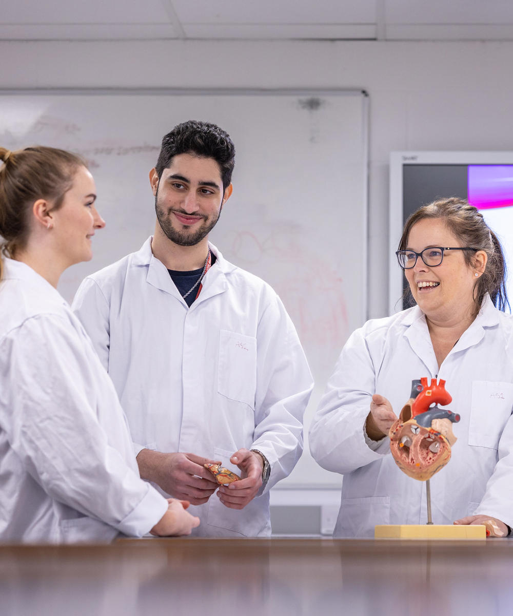 Research Partnerships