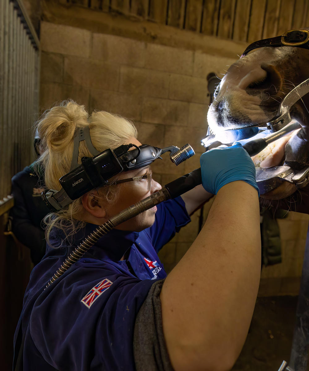 Equine Dental Science 10