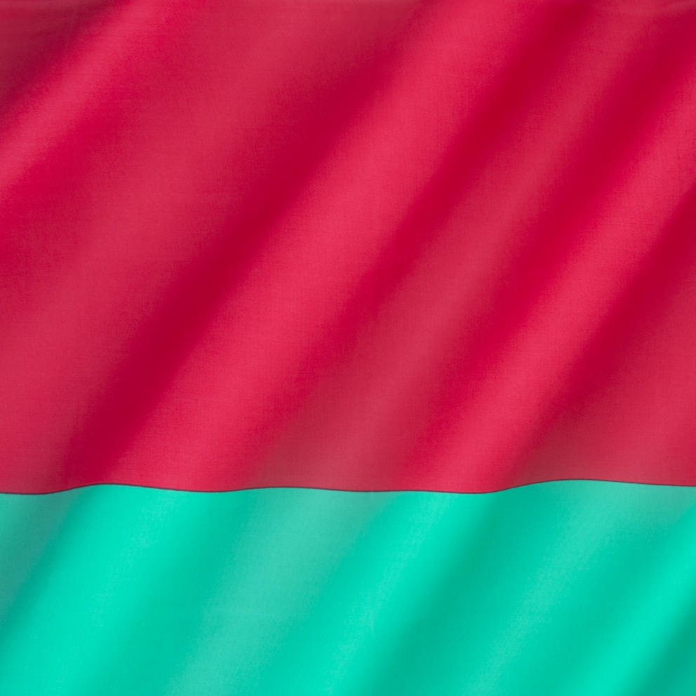 Flag Of Belarus 2025 03 18 14 56 43 Utc